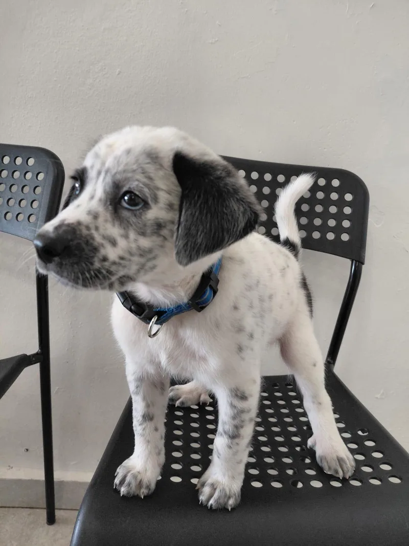 Brandon Lee thumbnail 2