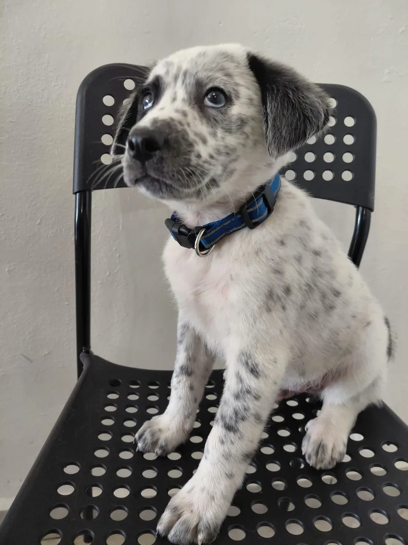 Brandon Lee thumbnail 3