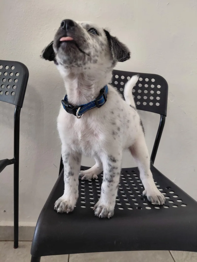 Brandon Lee thumbnail 4