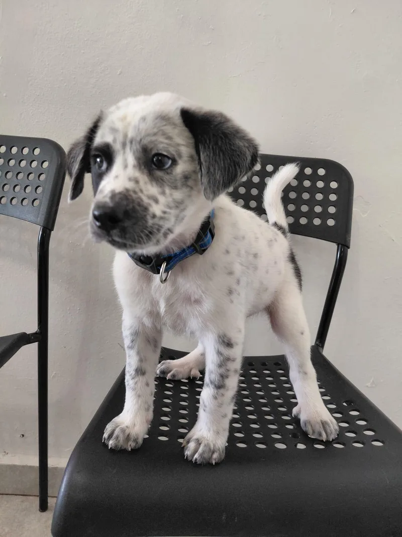 Brandon Lee thumbnail 5