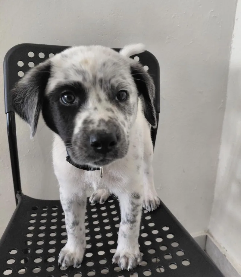 Brandon Lee thumbnail 6