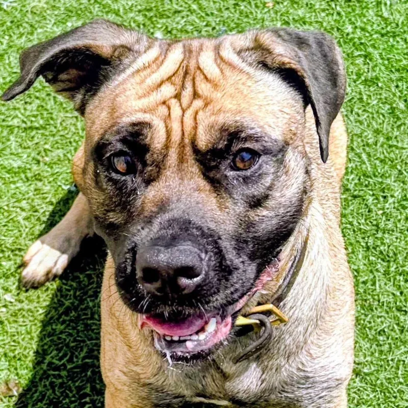 Sarah Belle thumbnail 2