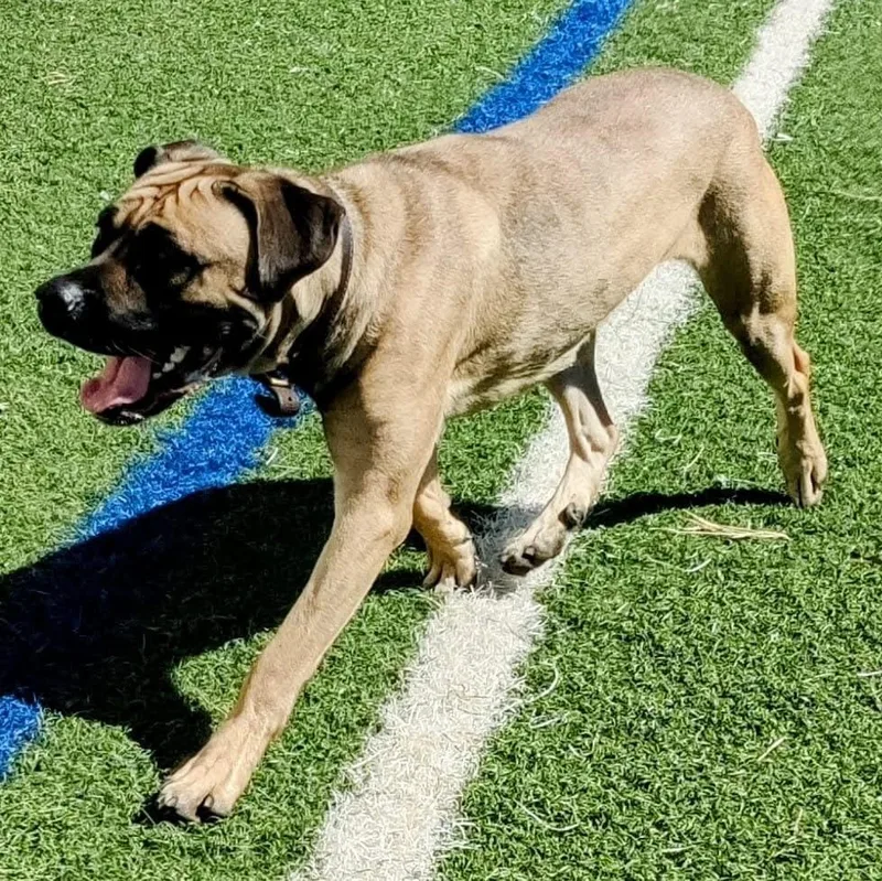 Sarah Belle thumbnail 3