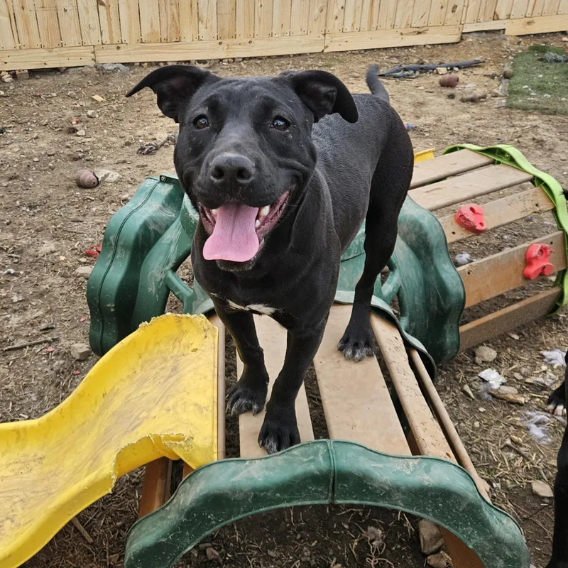 Taffy Twinkle thumbnail 5