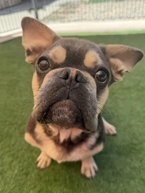 Tiny
