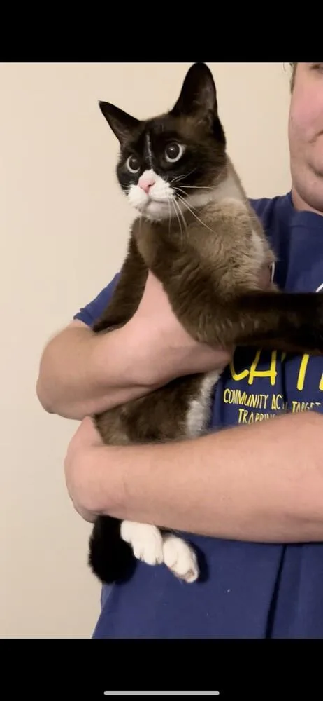 Bailey thumbnail 3