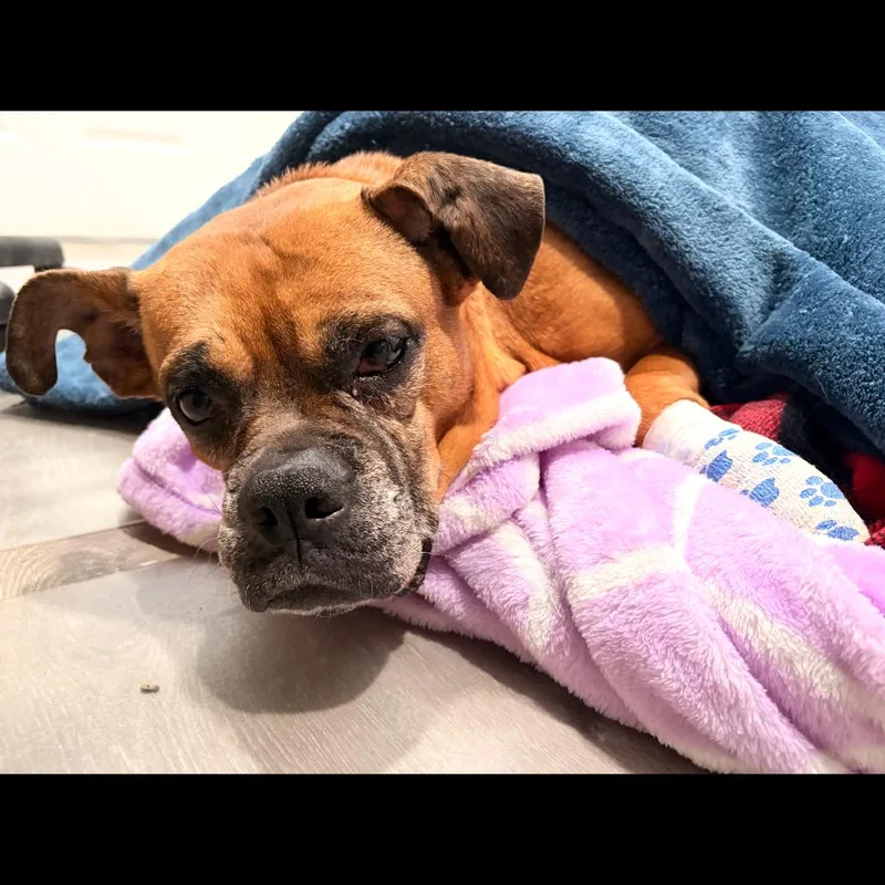 Chloe