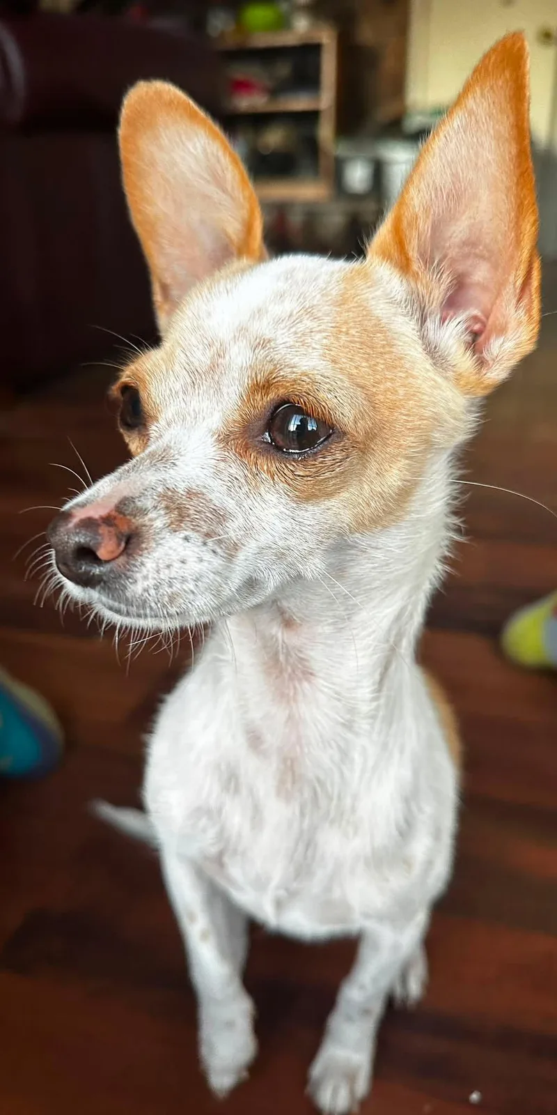 Marbles