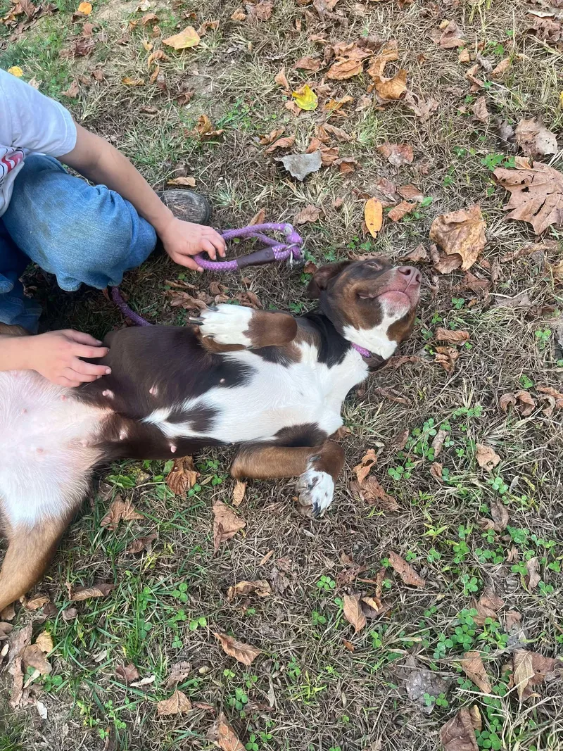 Lilly thumbnail 5