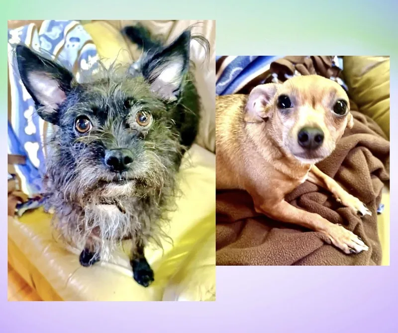 Margie & Sweetie
