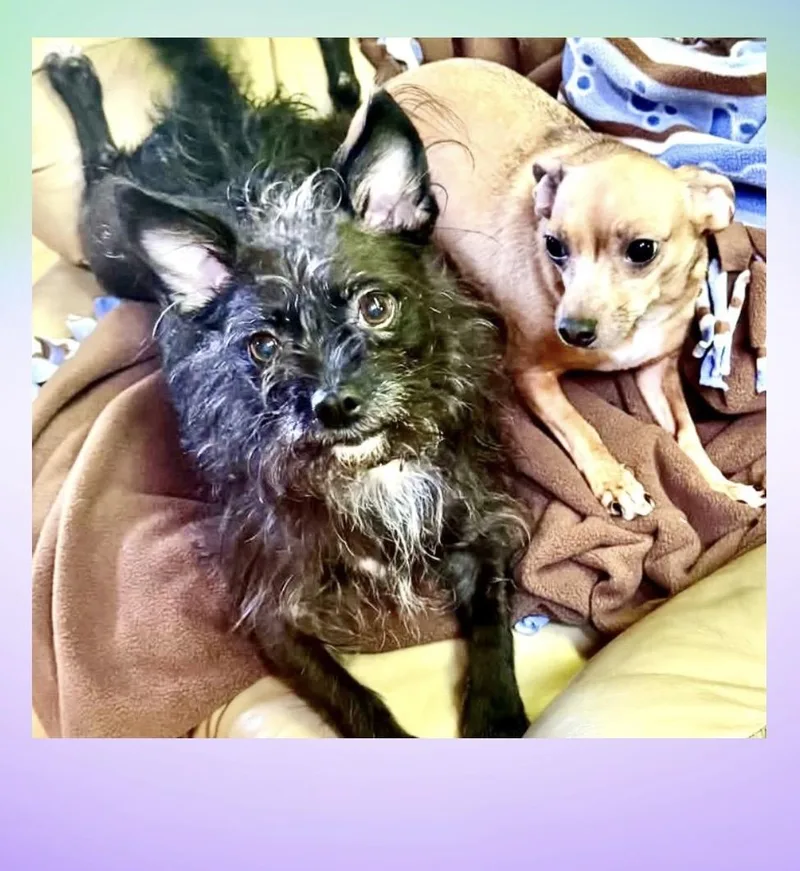 Margie & Sweetie thumbnail 3