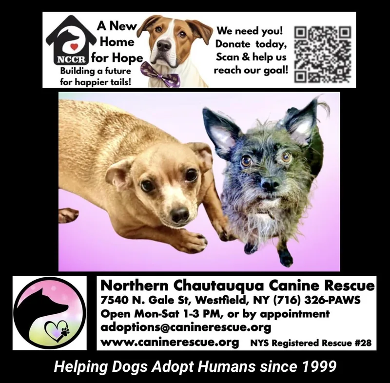 Margie & Sweetie thumbnail 6
