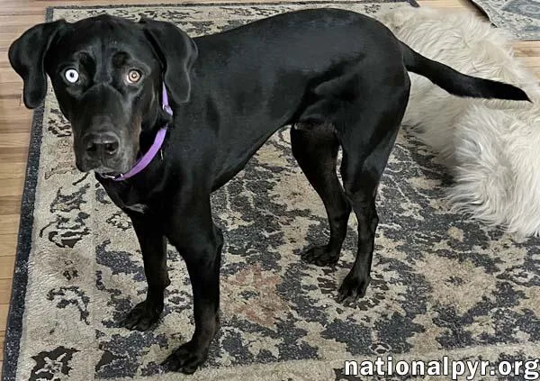 Mcgraw In Oh  thumbnail 2