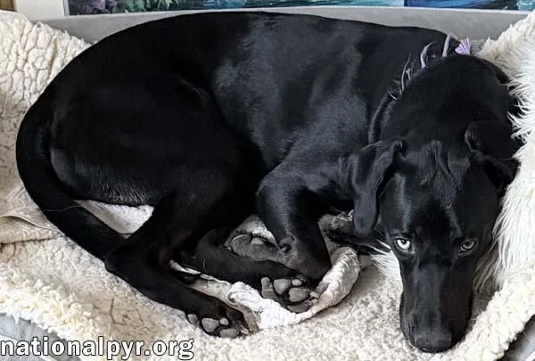 Mcgraw In Oh  thumbnail 3