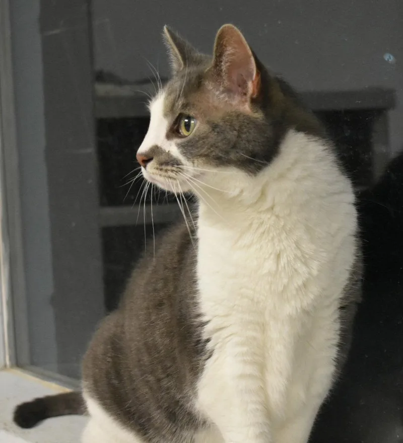 Spielburg thumbnail 2