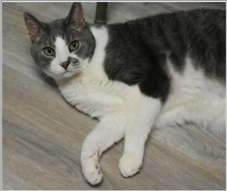 Spielburg thumbnail 3