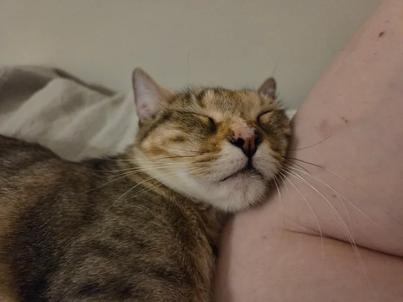 Cindy Lou thumbnail 2