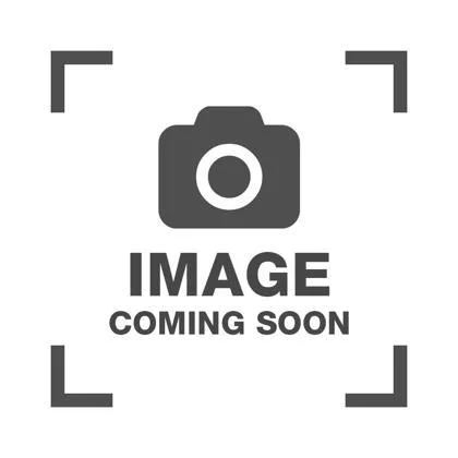An adult large-sized male Domestic Short Hair cat named Hendrix for adoption in Traverse City, MI