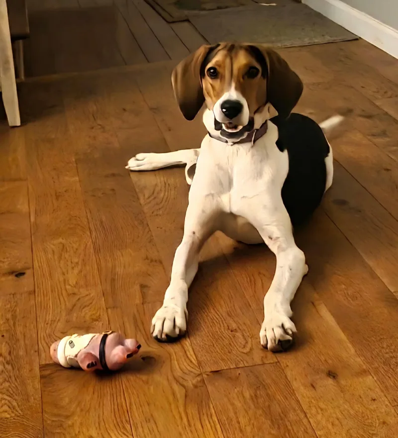 Sophie thumbnail 2