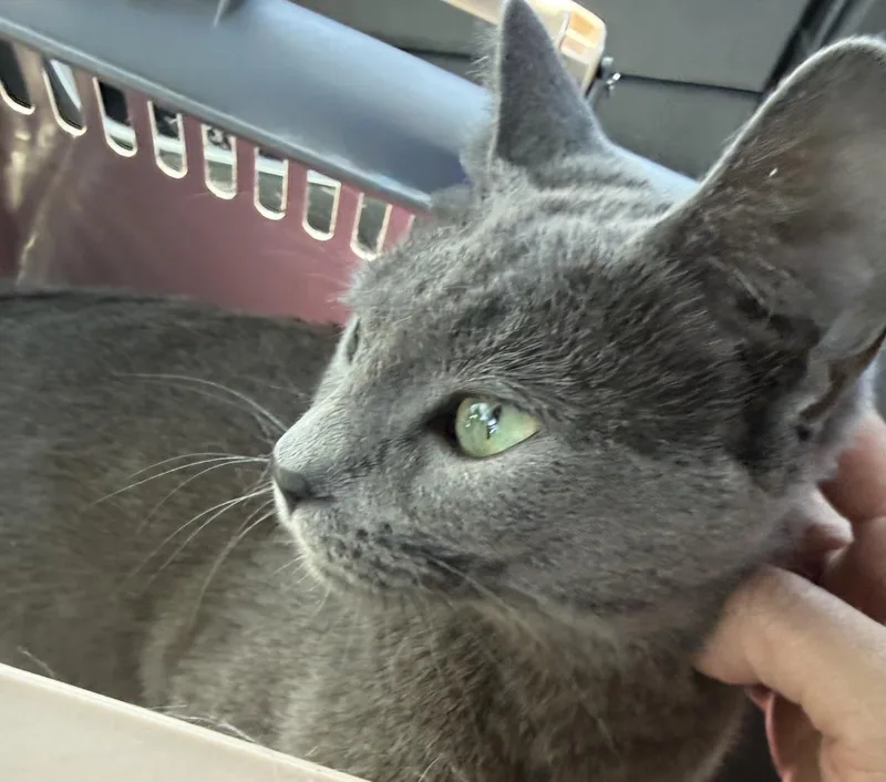 Isa Dora thumbnail 2