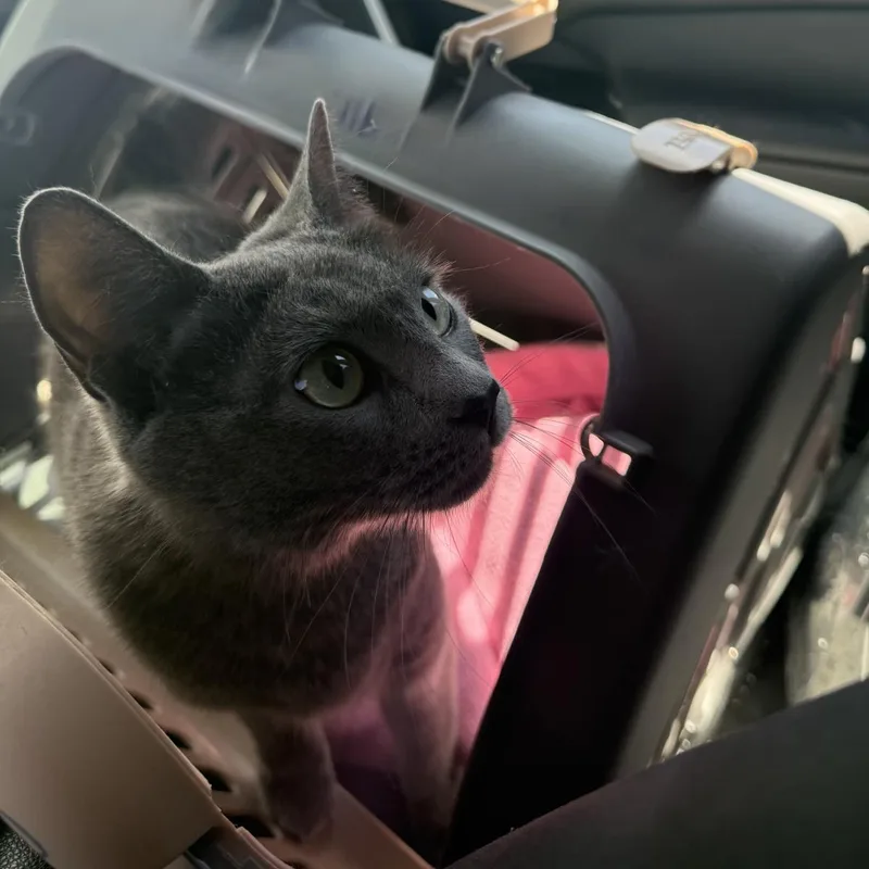 Isa Dora thumbnail 3