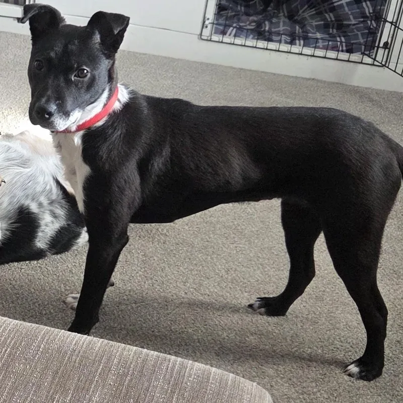 Jax Courtesy Listed thumbnail 2