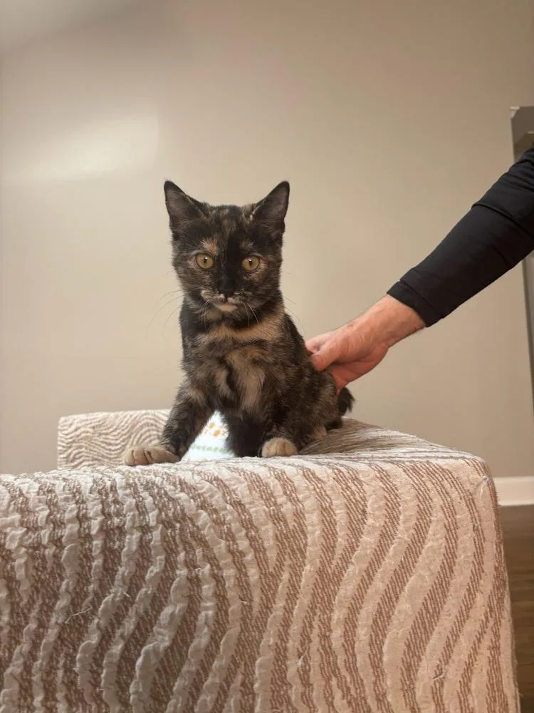 Speckles thumbnail 2