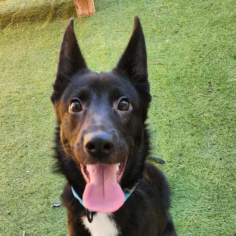 Keegan Sc thumbnail 2