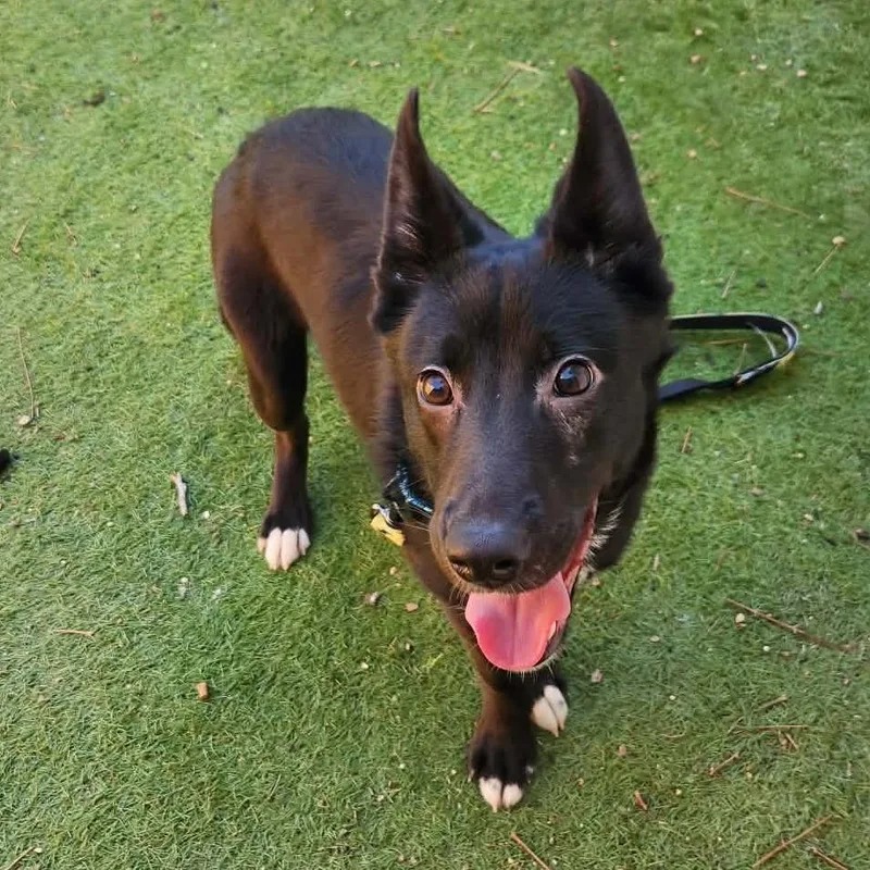 Keegan Sc thumbnail 3