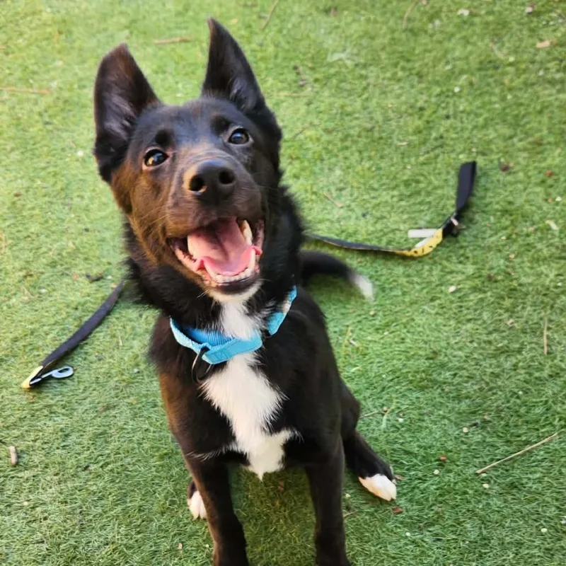 Keegan Sc thumbnail 4