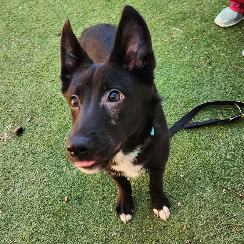 Keegan Sc thumbnail 5