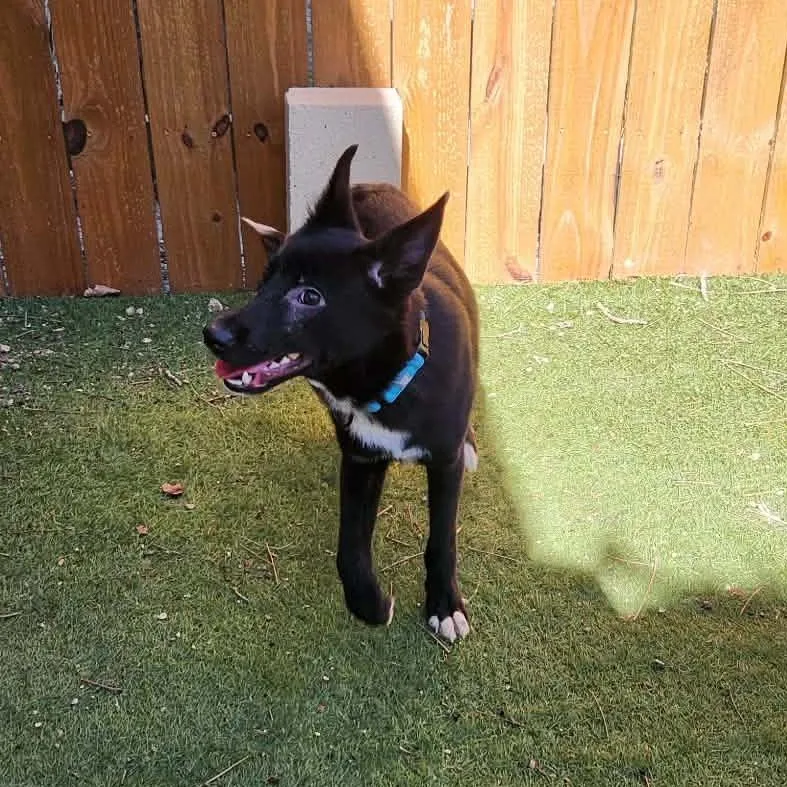 Keegan Sc thumbnail 6