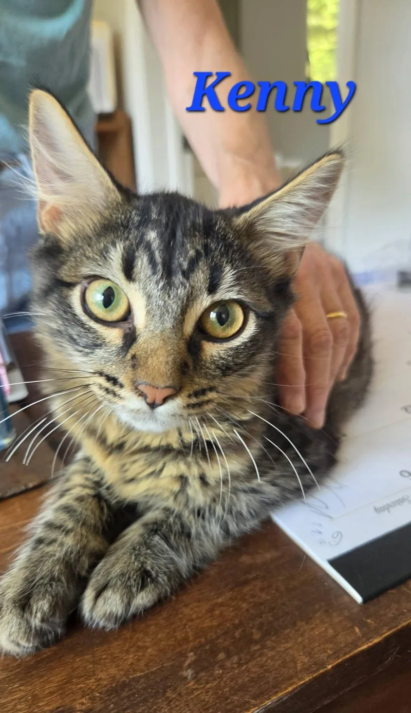 Kenny at Petsense