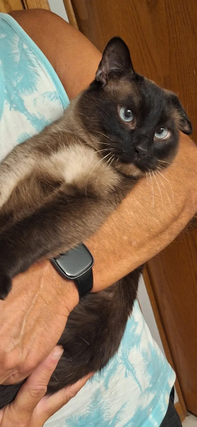 Gronk  front paw thumbnail 3