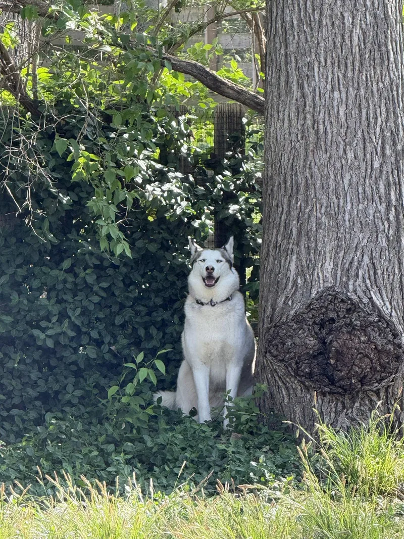 Princess Mia thumbnail 2