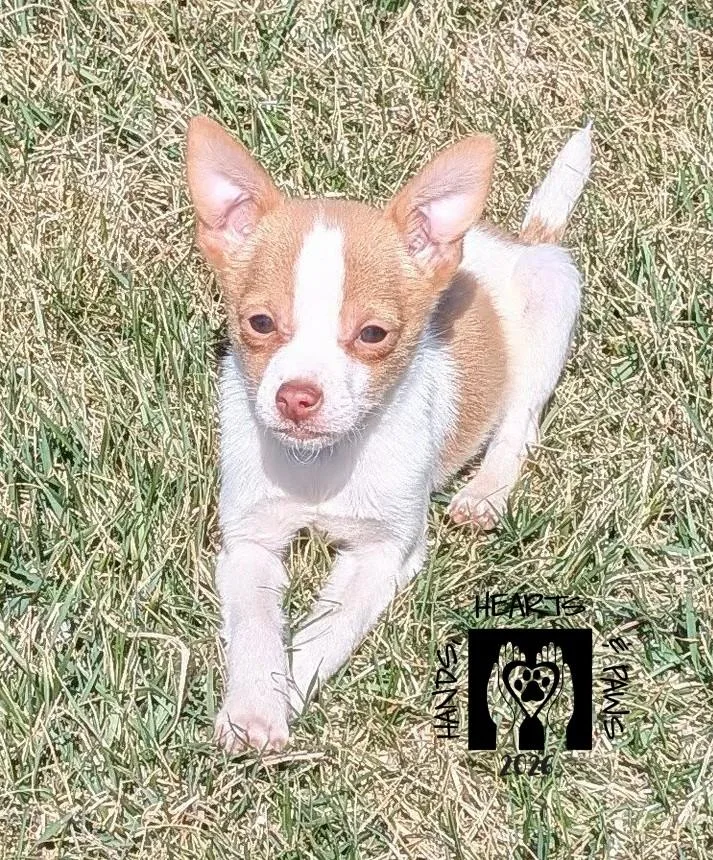 Bruce Willis thumbnail 3