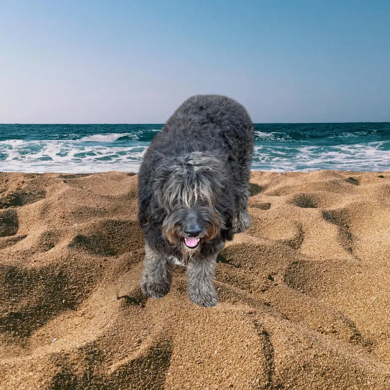 Raggedy Ann thumbnail 2