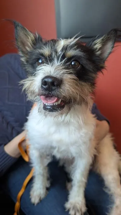 Charlie