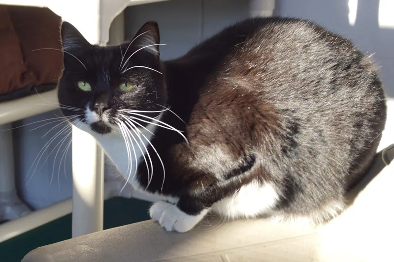 Maggie Mae thumbnail 3