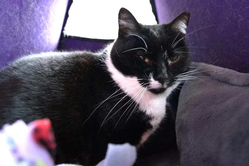 Maggie Mae thumbnail 4