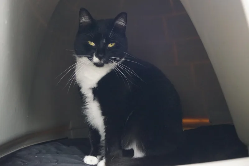 Maggie Mae thumbnail 6