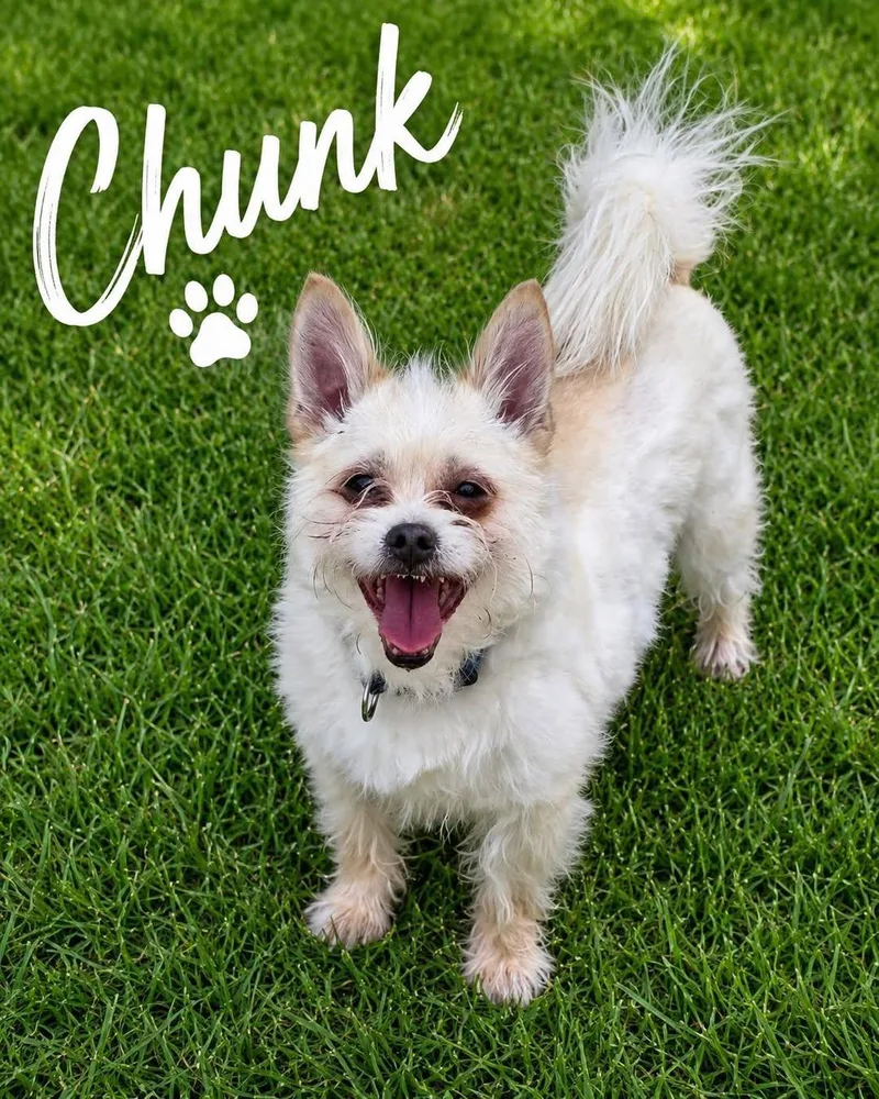 Chunk