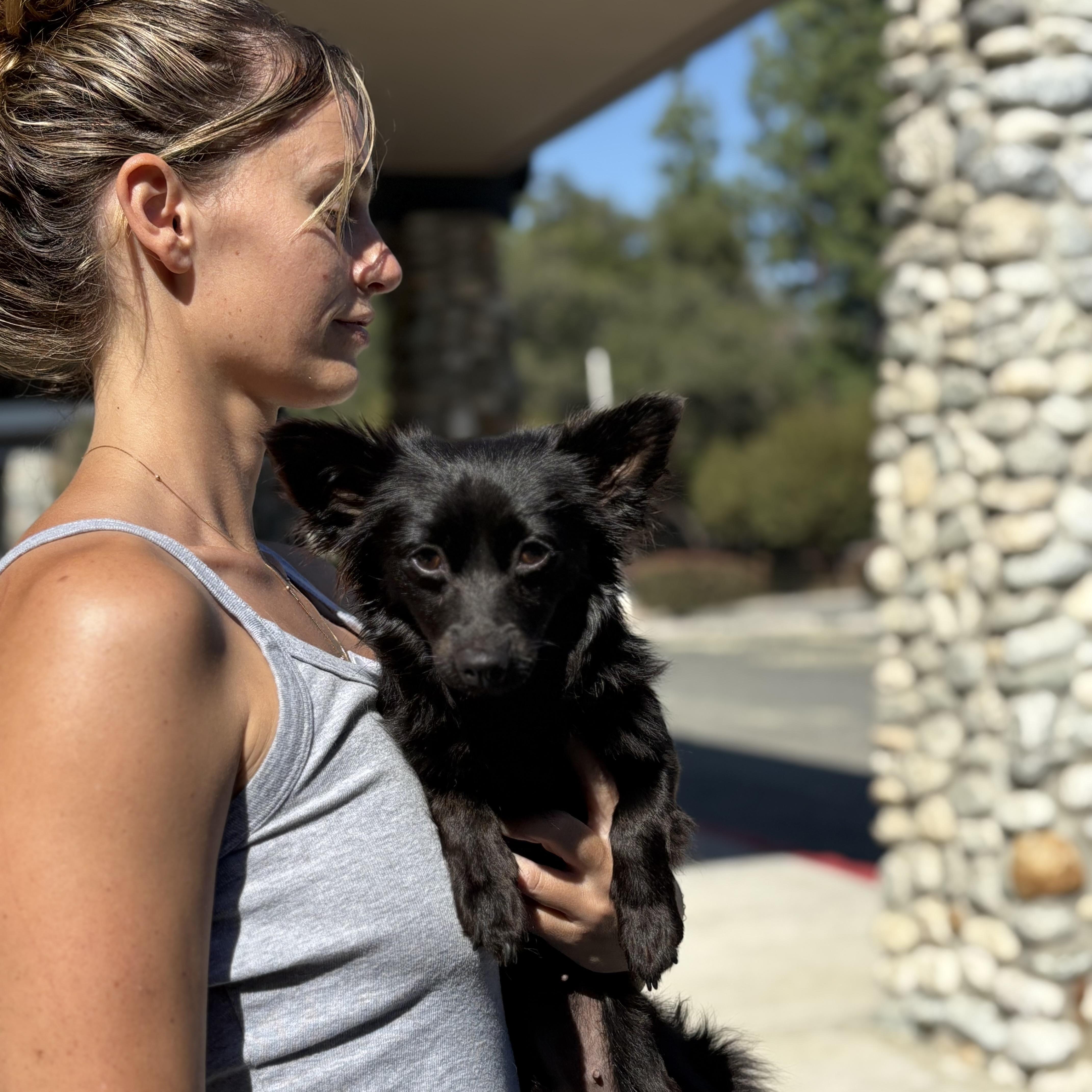 Beverly thumbnail 2
