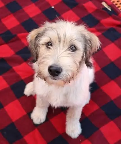 Thelma Athens thumbnail 2