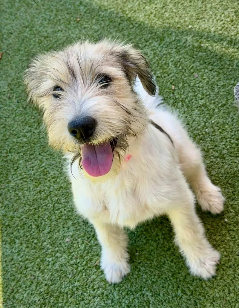 Thelma Athens thumbnail 3