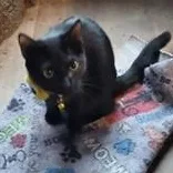 Meet Marnie: A Gentle thumbnail 4