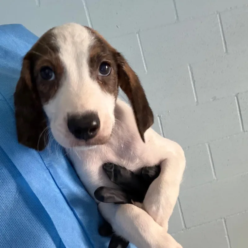 Buster thumbnail 2