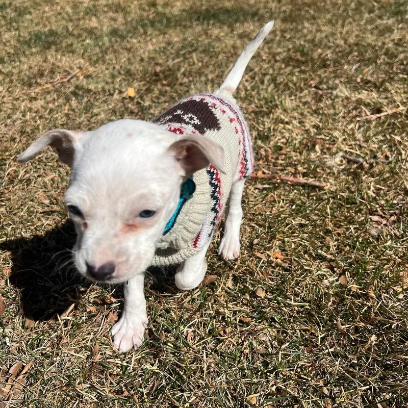 Washington thumbnail 2