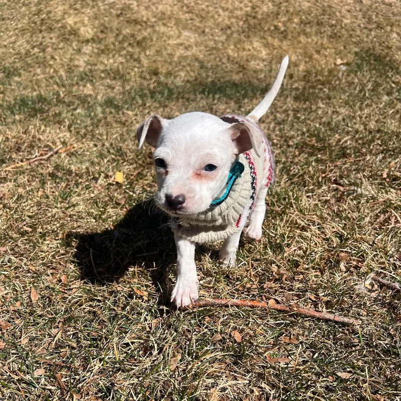 Washington thumbnail 5