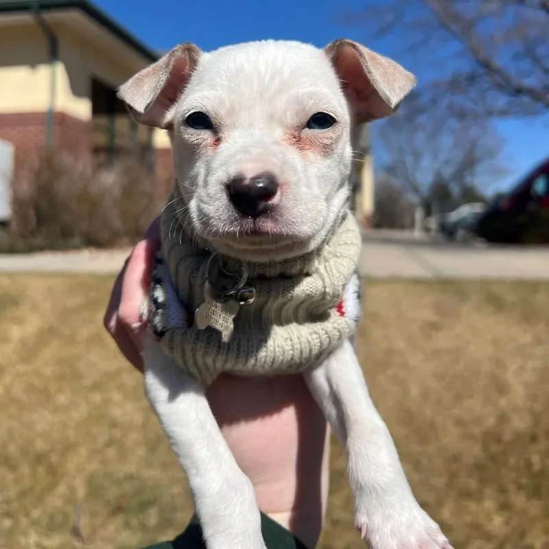 Washington thumbnail 6